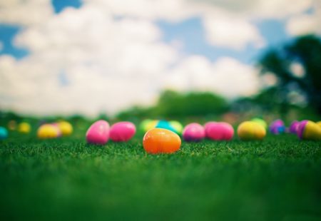 Tesni Homes Celebrate Easter in Oswestry